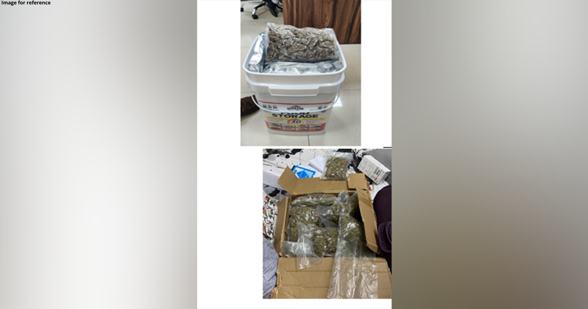 Mumbai: DRI busts international drugs racket, ganja worth Rs 2.36 cr seized